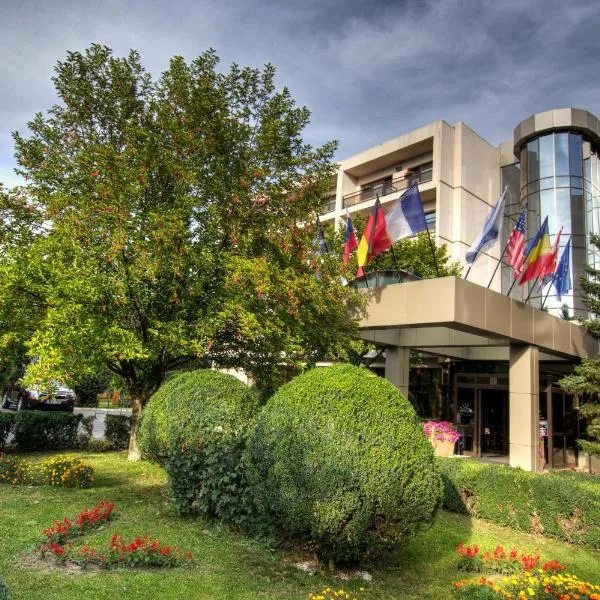 杜姆布瓦维酒店，位于Mărăşti的酒店