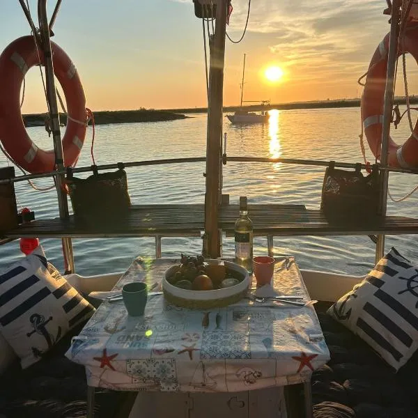 Houseboat - Faro in Ria Formosa，位于奥良的酒店