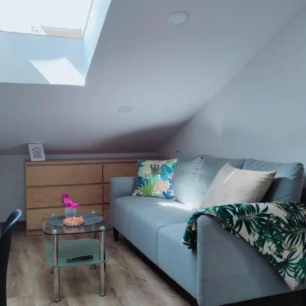 OsiedLOVE Poddasze，位于延杰尤夫的酒店