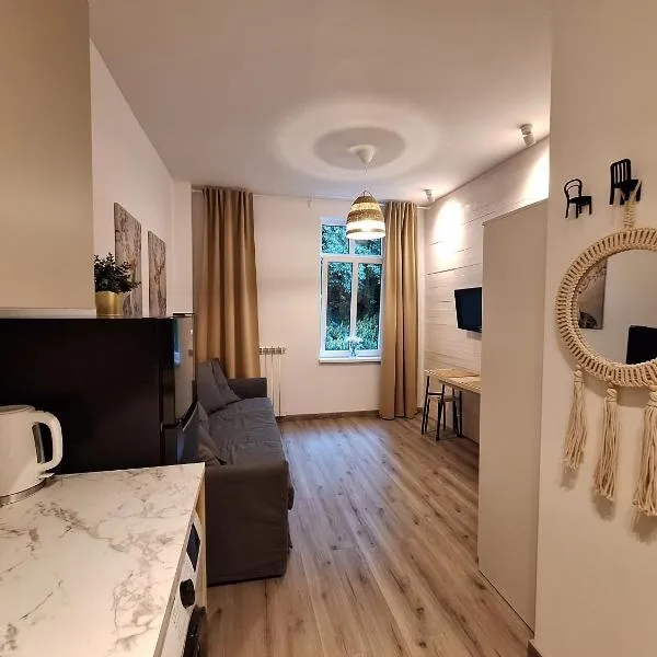 Apartamencik Zofiówka，位于伊沃尼奇-兹德鲁伊的酒店