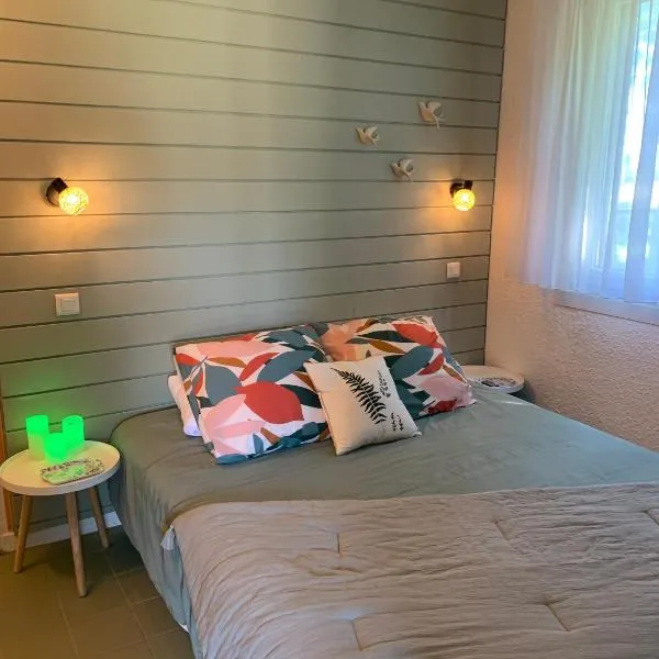 La Suite Unique - Le jardin sur les Pyrénées- vue panoramique montagne -jardin clôturé privé de 100m2-Parking-Linge de lit et serviettes compris-，位于Bielle的酒店