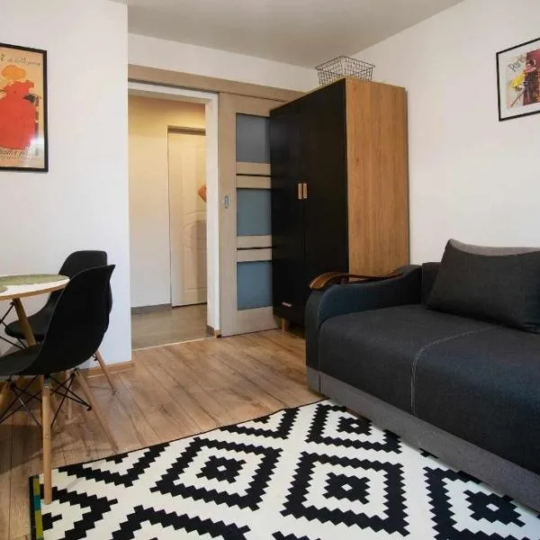 Apartament Na Parterze，位于莱斯科的酒店