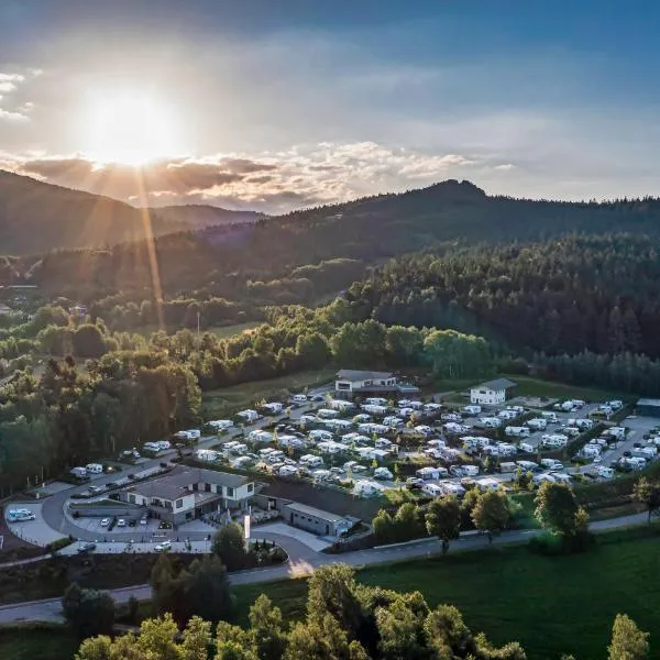 Resort Hotel Bodenmais，位于博登迈斯的酒店