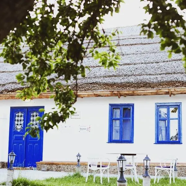 Pensiunea Casa Veche,位于Palanca的酒店