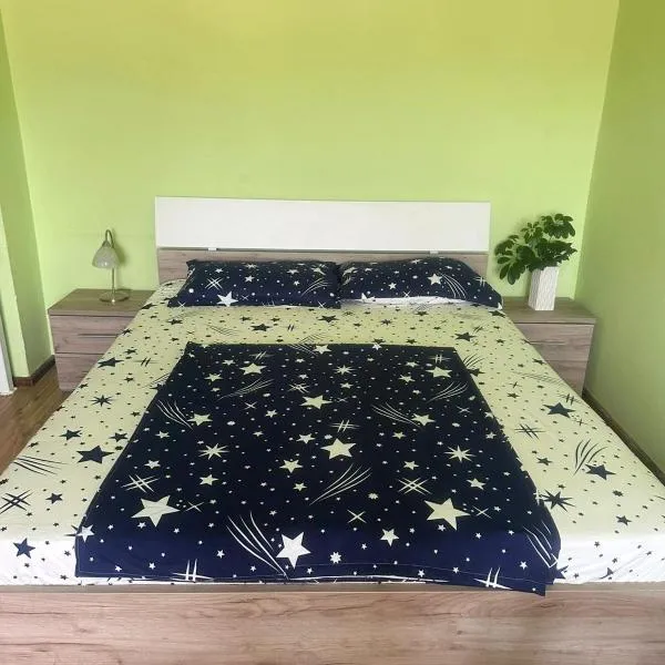 Apartament La Ilie，位于锡比乌盐矿镇的酒店