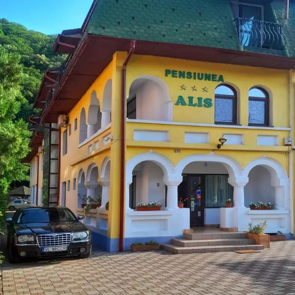 Pensiunea Alis，位于克利默内什蒂的酒店