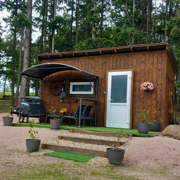 Les Pichies, Logement insolite, Tiny House de Julia，位于Saint-Léger-sur-Vouzance的酒店