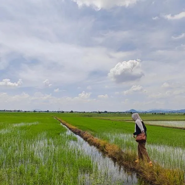 RumaKita Alor Setar Paddy View Netflix M0slim Only，位于阿罗士打的酒店