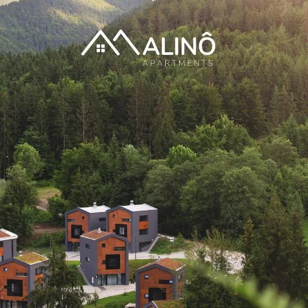 Malinô Apartments - Chalets in Ski & Bike Park，位于鲁容贝罗克的酒店