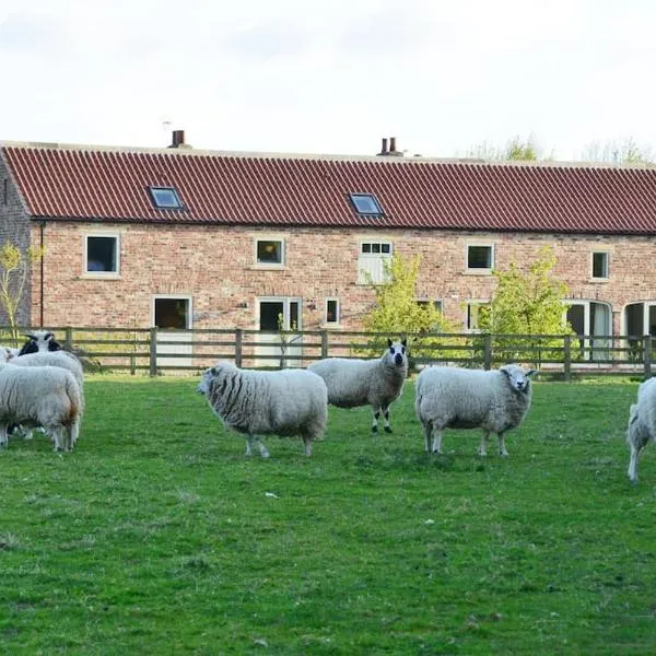 Luxury Barn with sauna near York welcoming families, friends, groups，位于约克的酒店