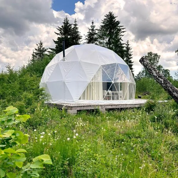 Bubble House glamping telk，位于Vetepere的酒店