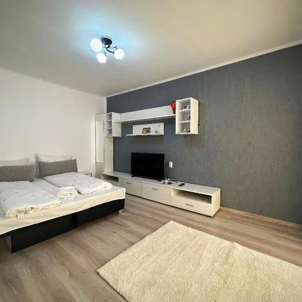 Apartament Dya HATEG 9，位于哈采格的酒店