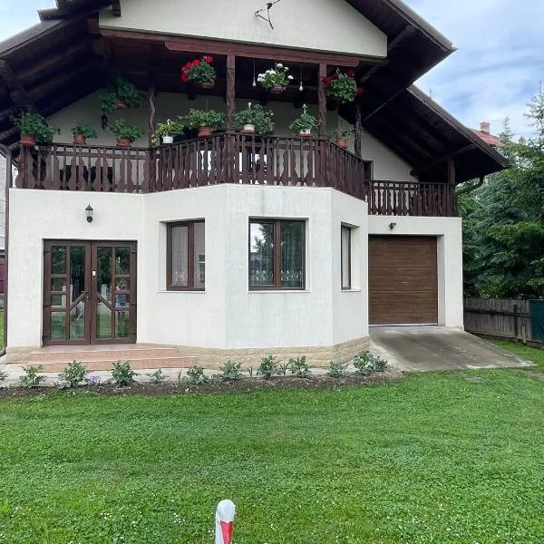 Casa Iuliana Camelia，位于坎普朗莫道尼斯的酒店