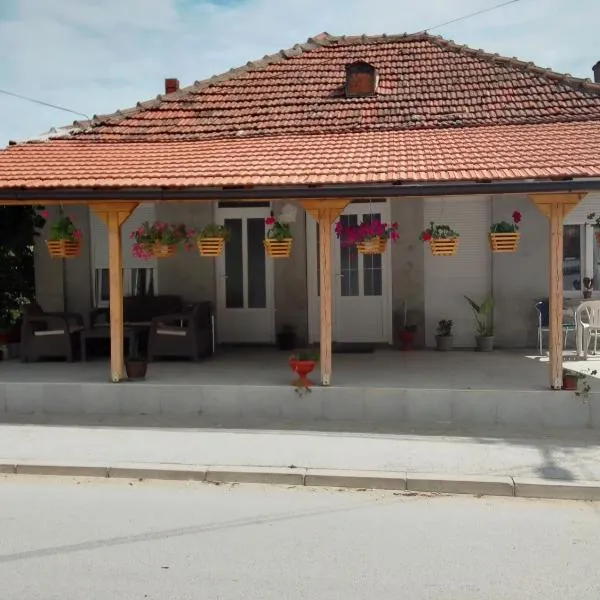 Apartman Djordjevic，位于弗拉涅的酒店