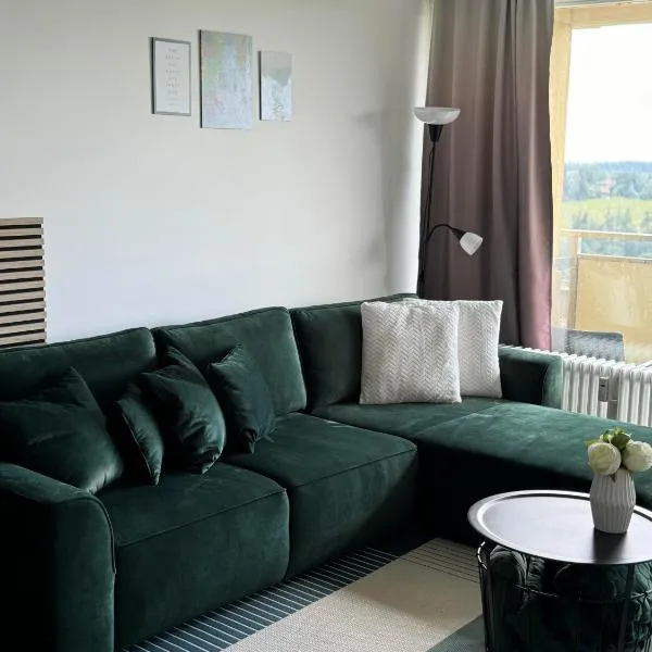 Harzträume Panorama Lodge, im Harz, mit Schwimmbad und Sauna，位于布劳恩拉格的酒店