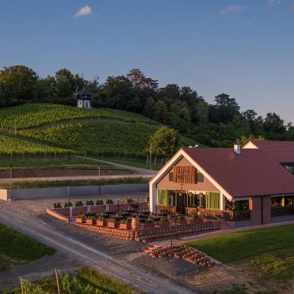 Vila Vinkomir，位于Kutjevo的酒店