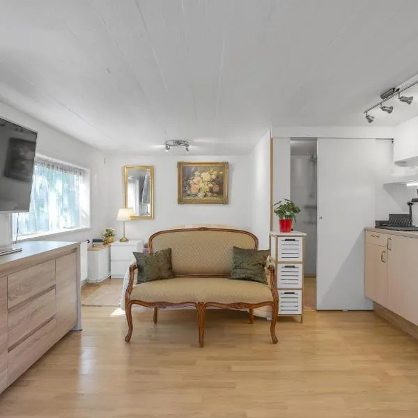 Lara Studio in Laugardalur valley, Reykjavík Central Park and Botanical Garden, Private entrance, FREE Private Parking on side，位于雷克雅未克的酒店