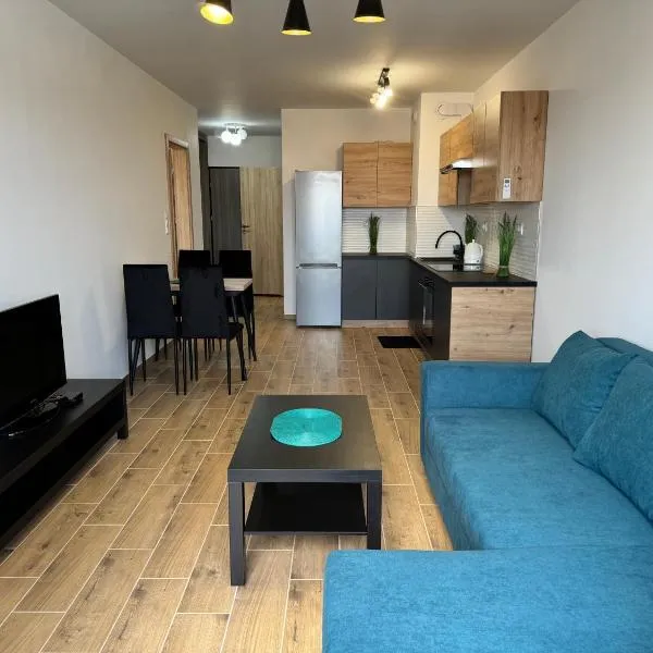 Apartament Dolina Baryczy，位于Żmigród的酒店