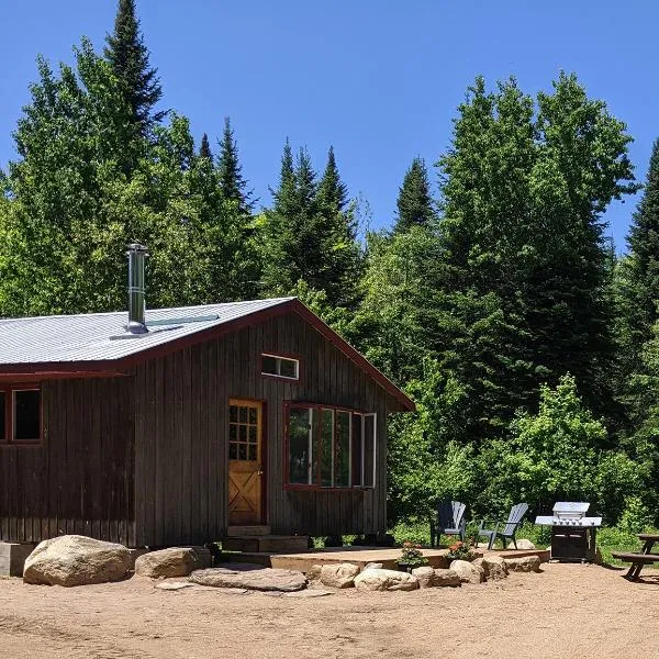 Meadowlark Cabin #5，位于Maynooth的酒店