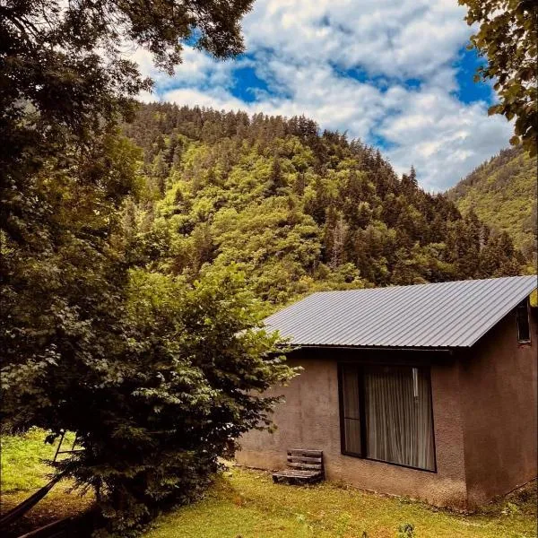 Cozy house in the forest，位于博尔若米的酒店