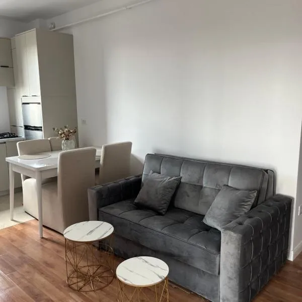 Apartament nou neo tower，位于苏恰瓦的酒店