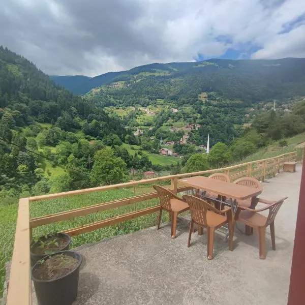 AYDIN HOME Uzungöl，位于乌宗的酒店