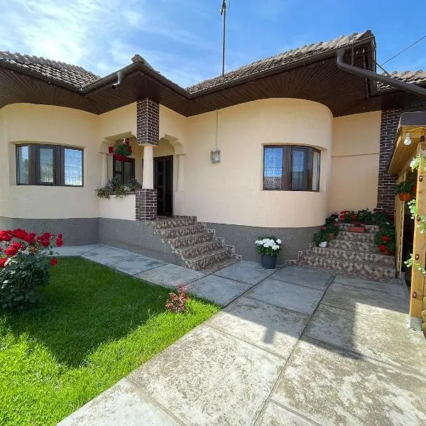 Pensiunea CAV，位于诺瓦齐- 斯特拉尼的酒店