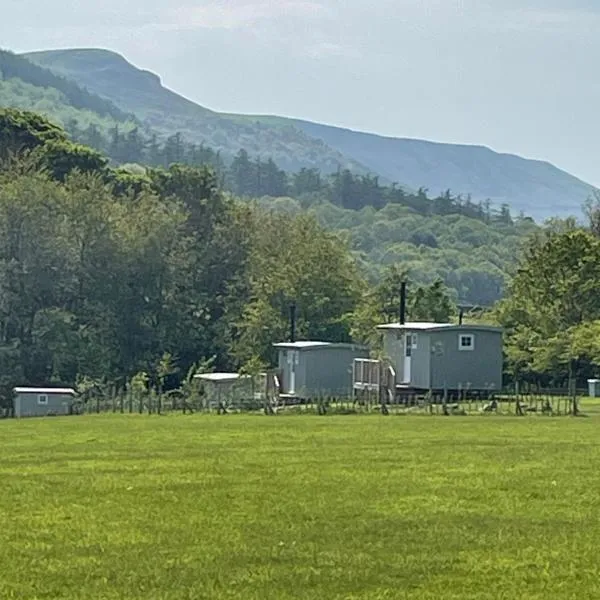 Rosemary Shepherds Hut, Clay Bank Huts，位于Ingleby的酒店