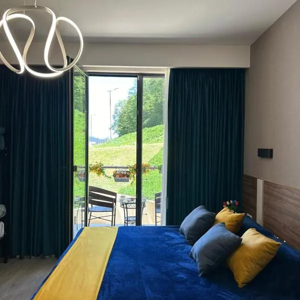 Crystal Wood Apartment 213，位于巴库里阿尼的酒店