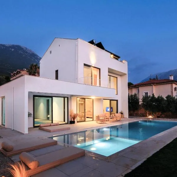 Villa Neo with 2 private pools, bbq, jacuzzi and sauna，位于费特希耶的酒店