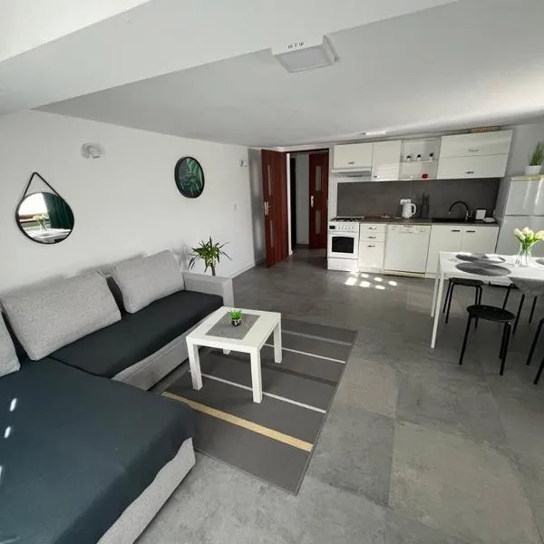 Apartament Koninki，位于Lubomierz的酒店