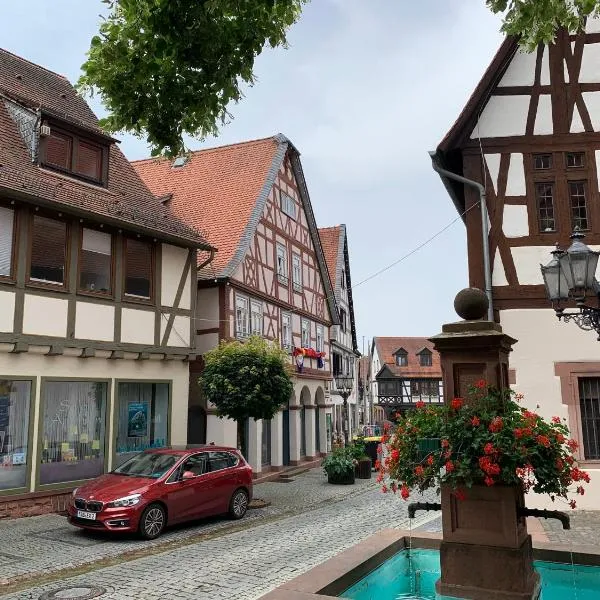 Apartment am historischen Rathaus，位于米歇尔施塔特的酒店