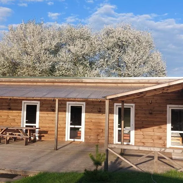 Merkioaidas，位于Sližiūnai的酒店