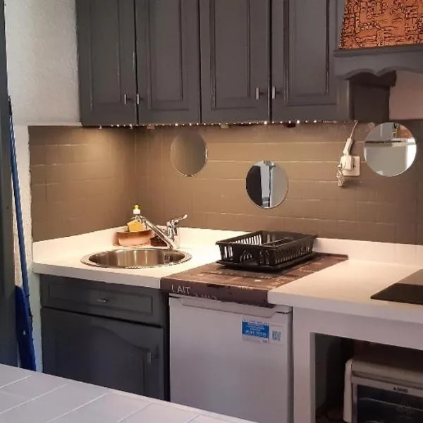 Studio Résidence Val d'Escreins，位于吉莱斯特尔的酒店