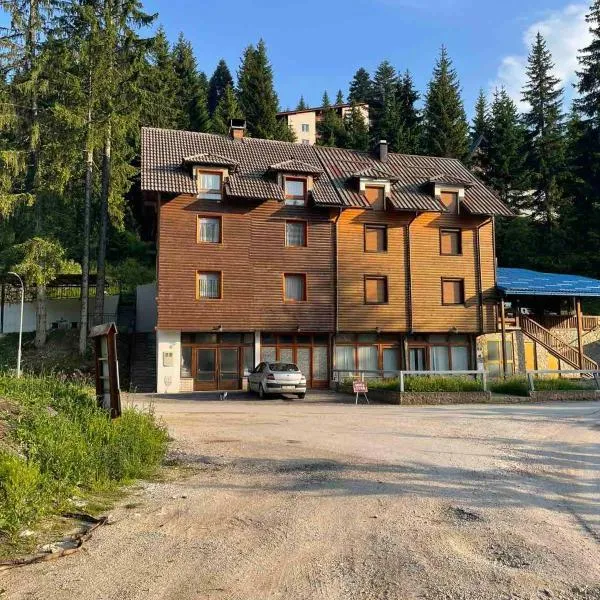 Vila Damir，位于Gornja Šišava的酒店