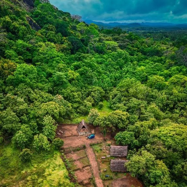 The Forest Edge Resort，位于丹不拉的酒店