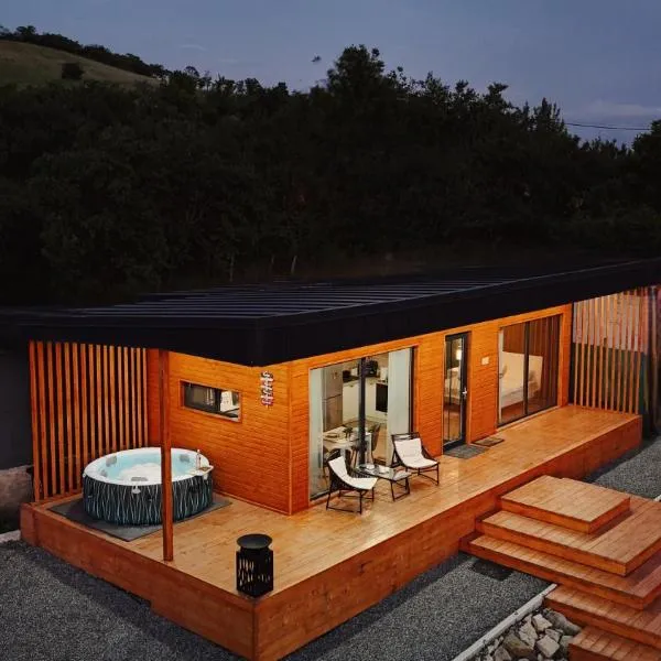 Story Cabin Lake，位于Cîmpeneşti的酒店