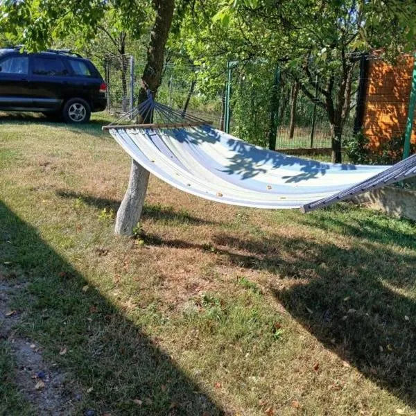 colina farm camping cort，位于Găgeni的酒店
