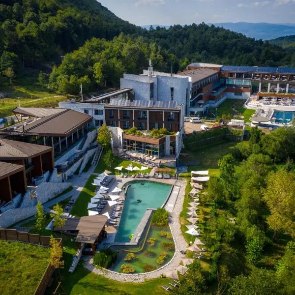 Hotel Ramonda，位于Boljevac的酒店