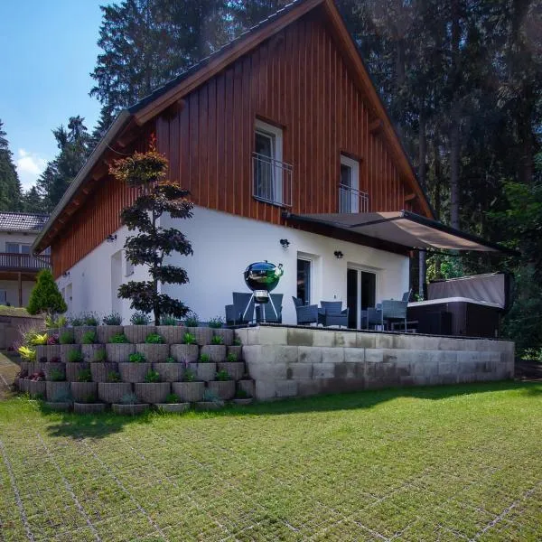 SPA Lakeside LIPNO CLUB，位于弗林布尔克的酒店