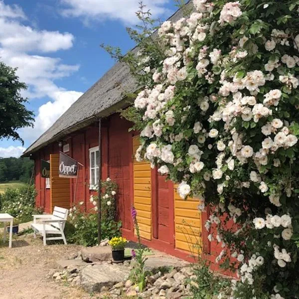 Ängaröds Gård，位于Ljungbyhed的酒店