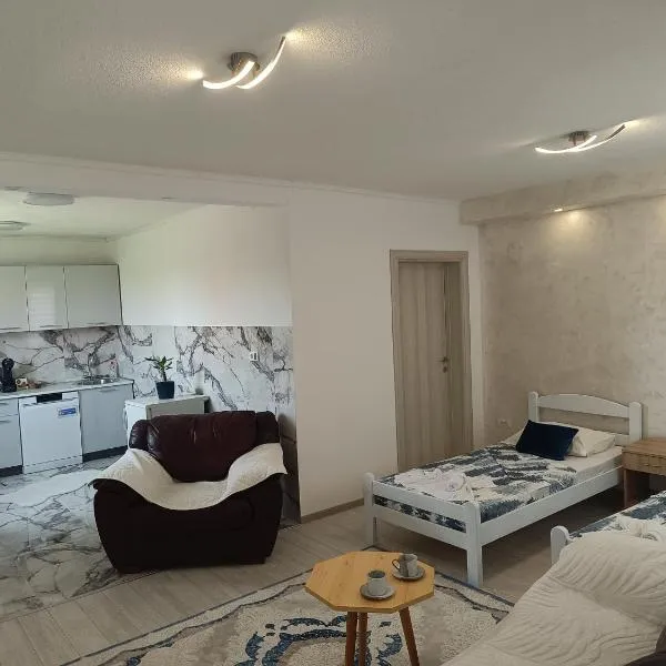 Matija Airport Apartment，位于Mitrovići的酒店