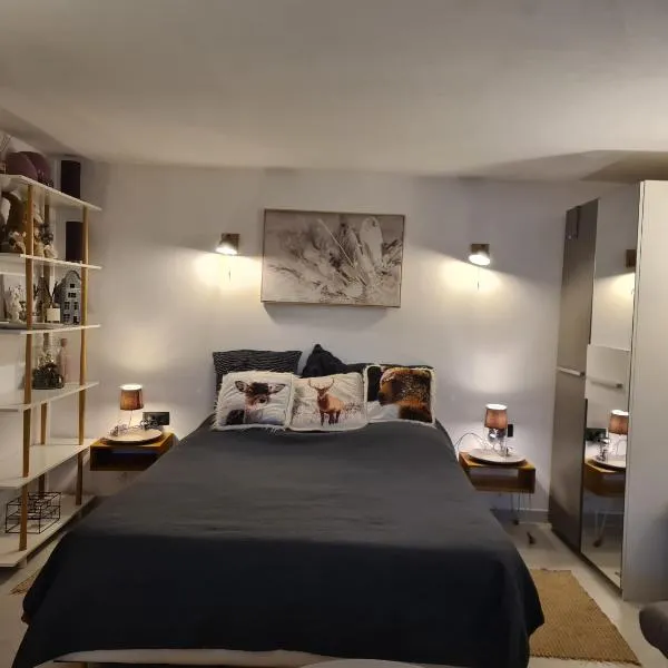 35m2 Hauts d'Albertville Terrasse avec Vue，位于Pallud的酒店
