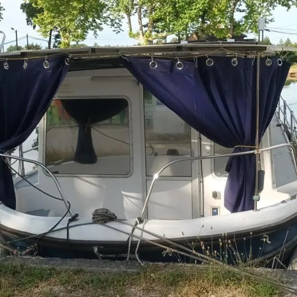 Logement entier sur bateau，位于Montech的酒店