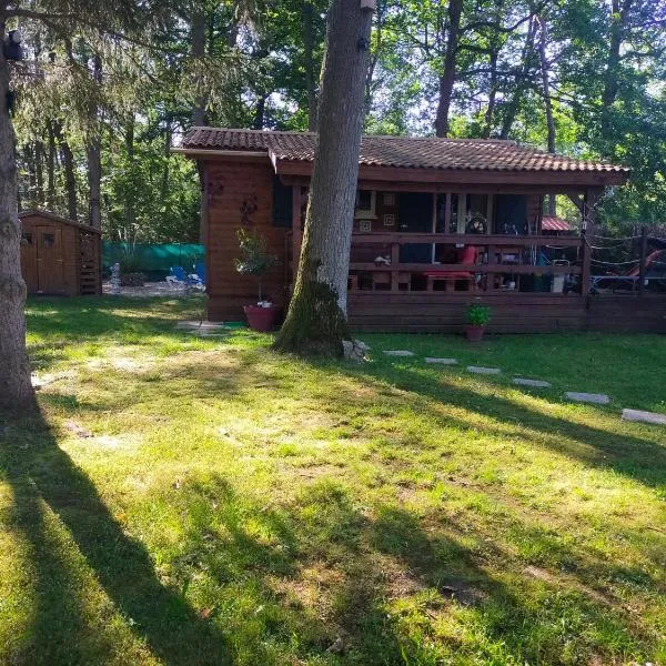 Chalet Domaine de Marcilly，位于Marcilly-sur-Eure的酒店