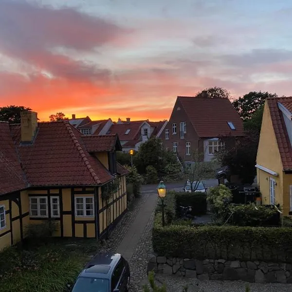 Den Gamle Vandmølle，位于埃伯鲁普的酒店