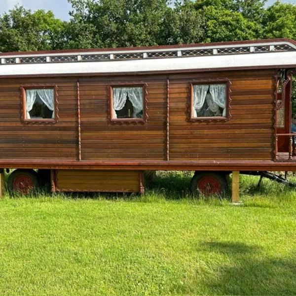 Pipowagen，位于Sleen的酒店