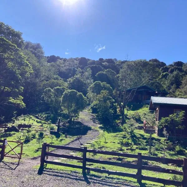 Curuba Lodge，位于Copey的酒店