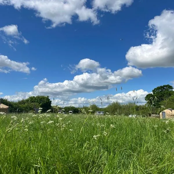 Nordic Glamping at Botswicky - a nature based retreat，位于Bishopstone的酒店