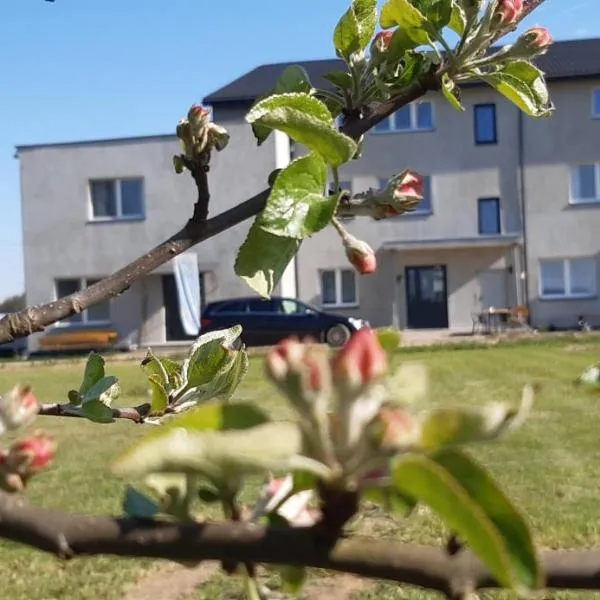 Noclegi nad Biebrzą Stara Szkoła，位于Mońki的酒店